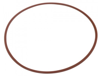 o-ring-camera-inox-uv2